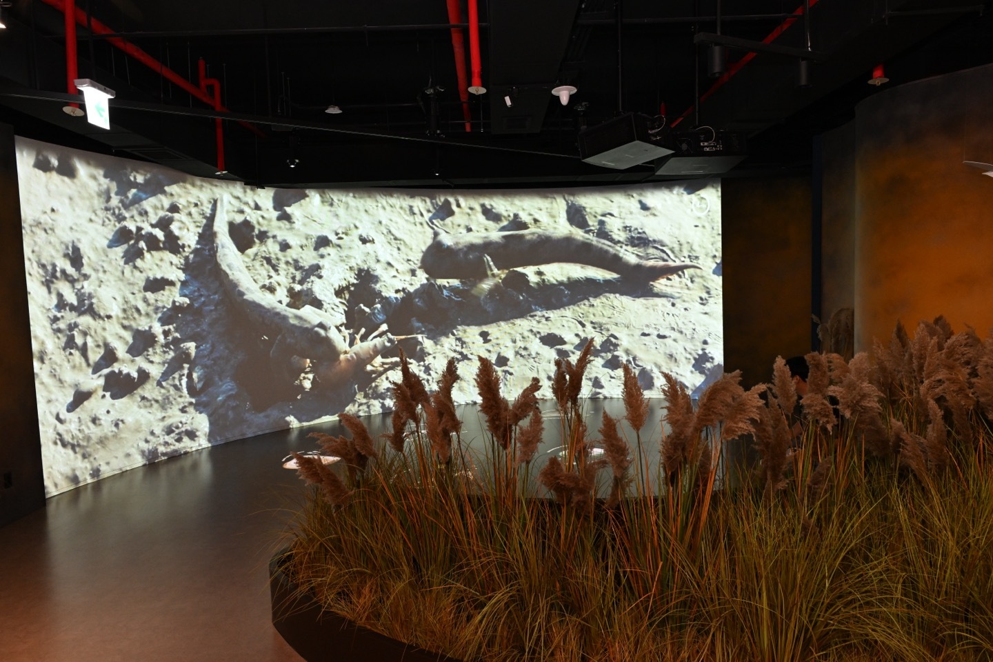 1층: 해양생물 전시존 + 구조치료존 전시관 사진