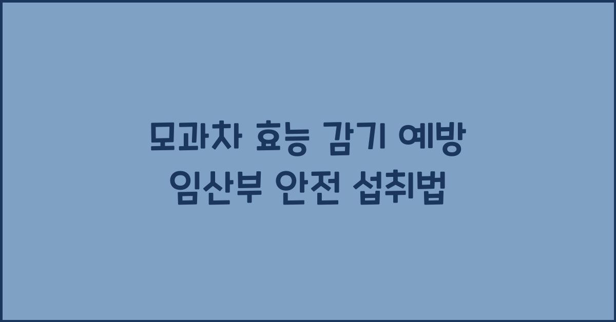 모과차 효능