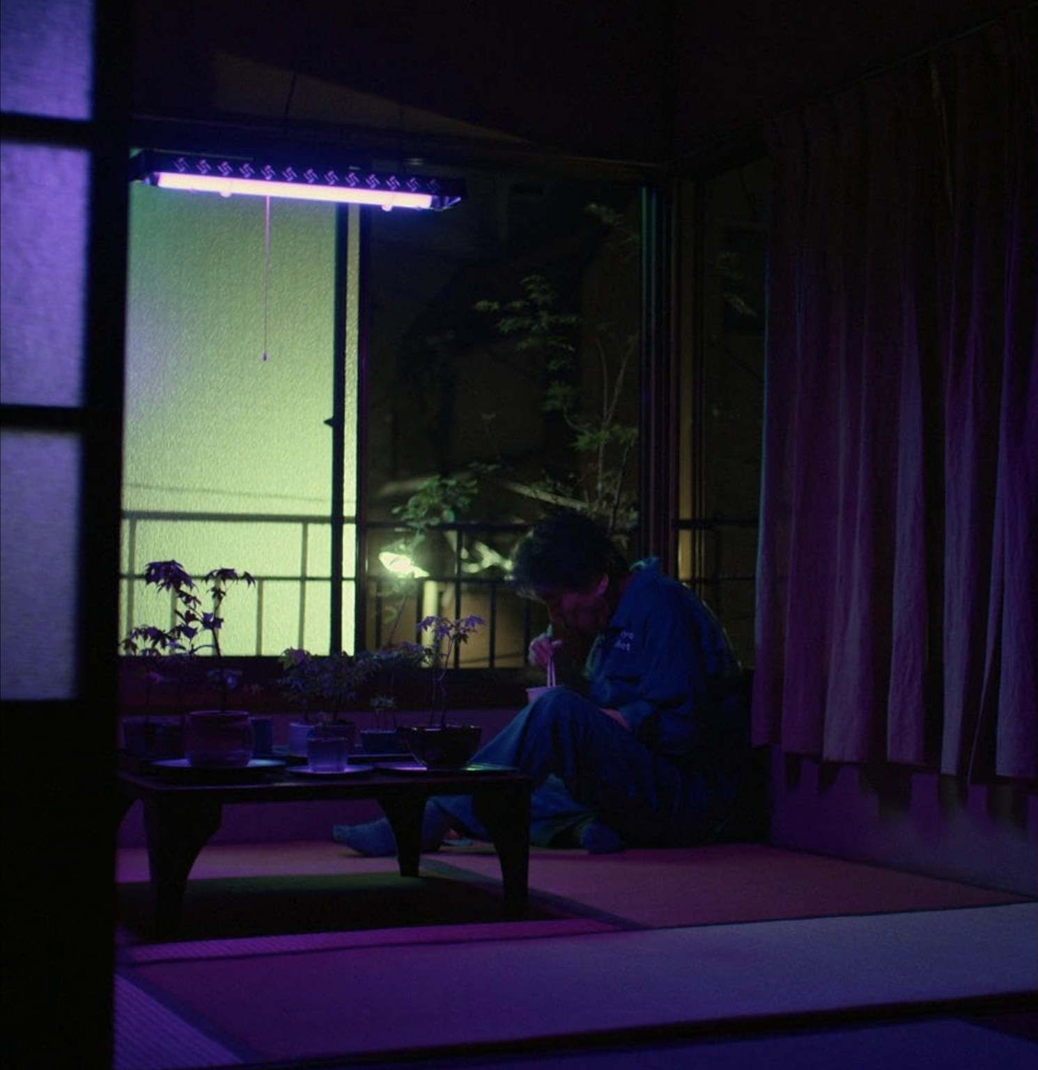 영화 퍼펙트 데이즈