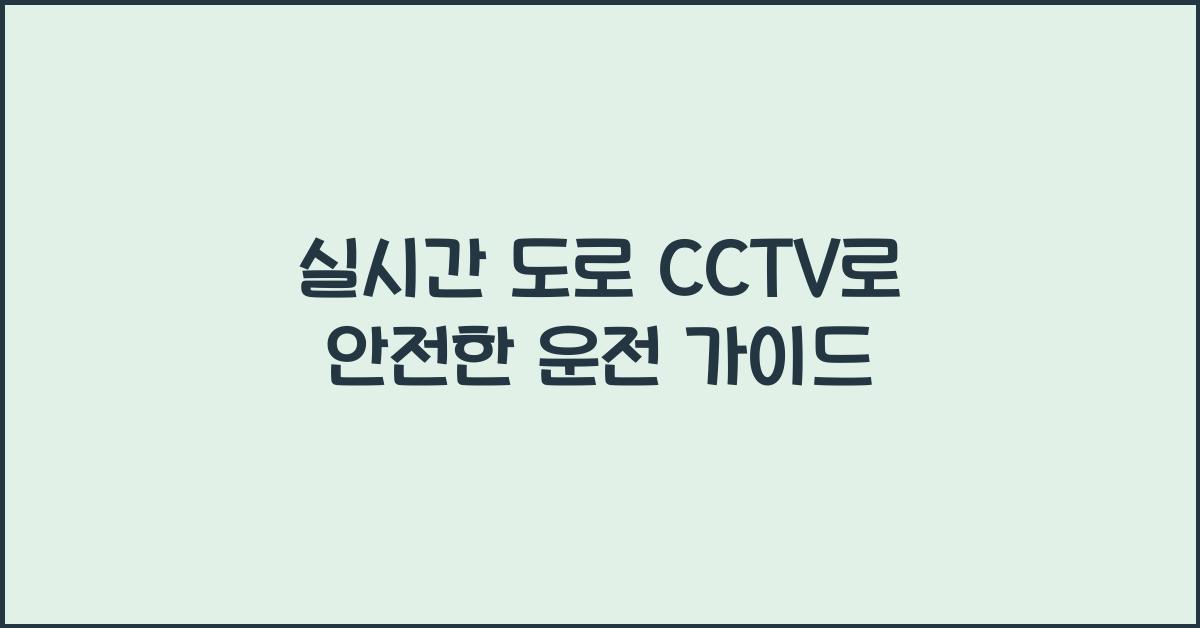 실시간 도로 cctv