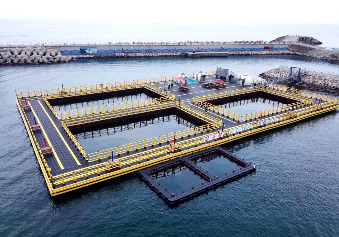 장사항 바다낚시 체험공원 사진