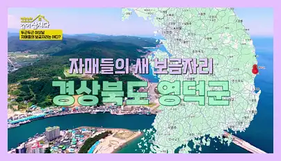 박원숙의 같이 삽시다 시즌3 재방송 시간 다시보기