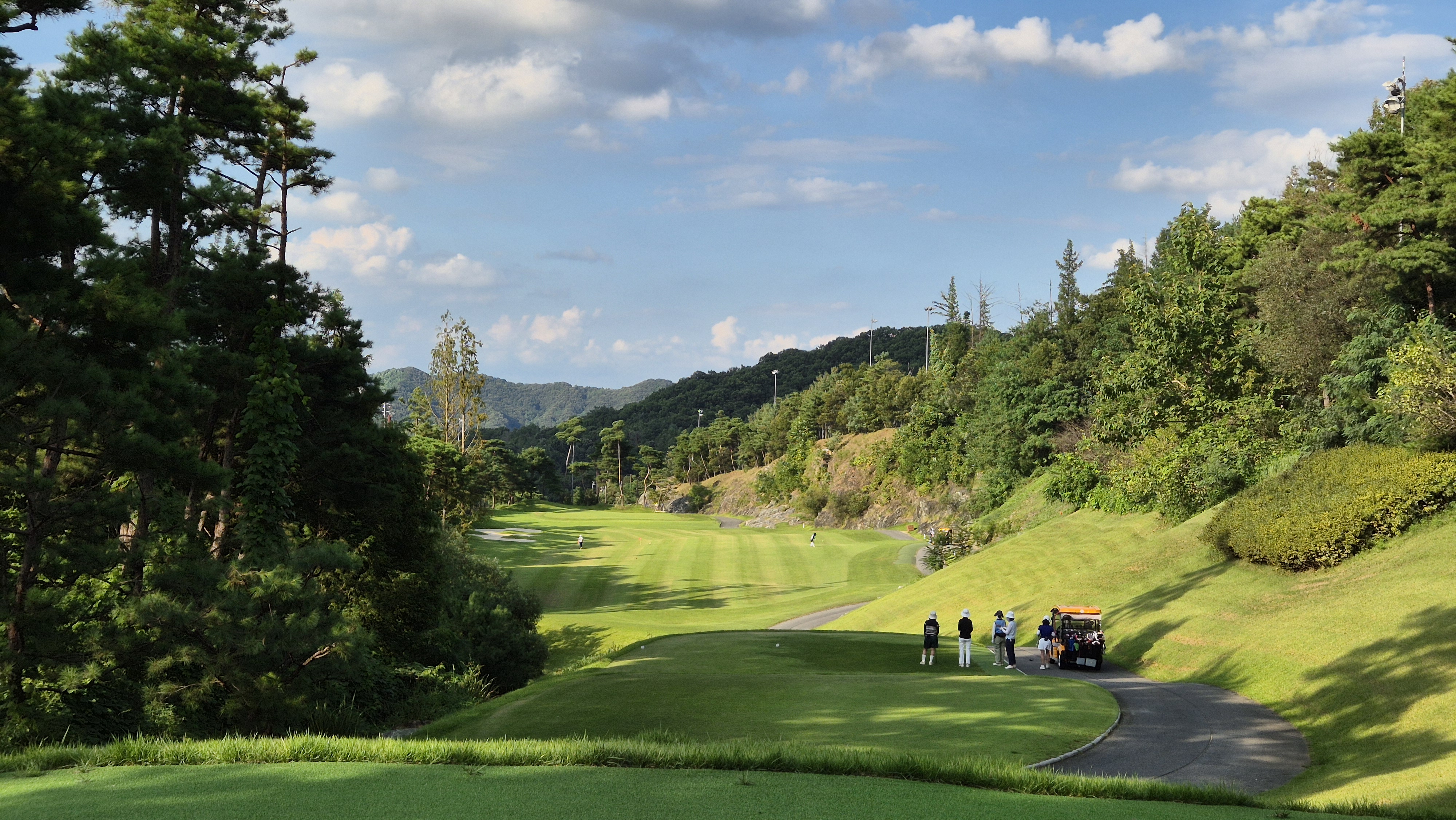 대영힐스cc 청-력 코스 사진 및 공략 정보
