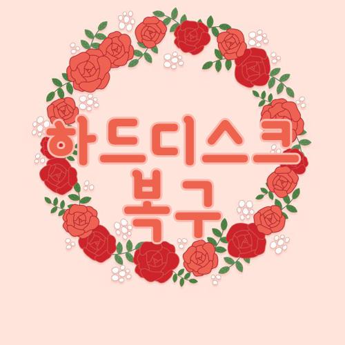 하드디스크 복구