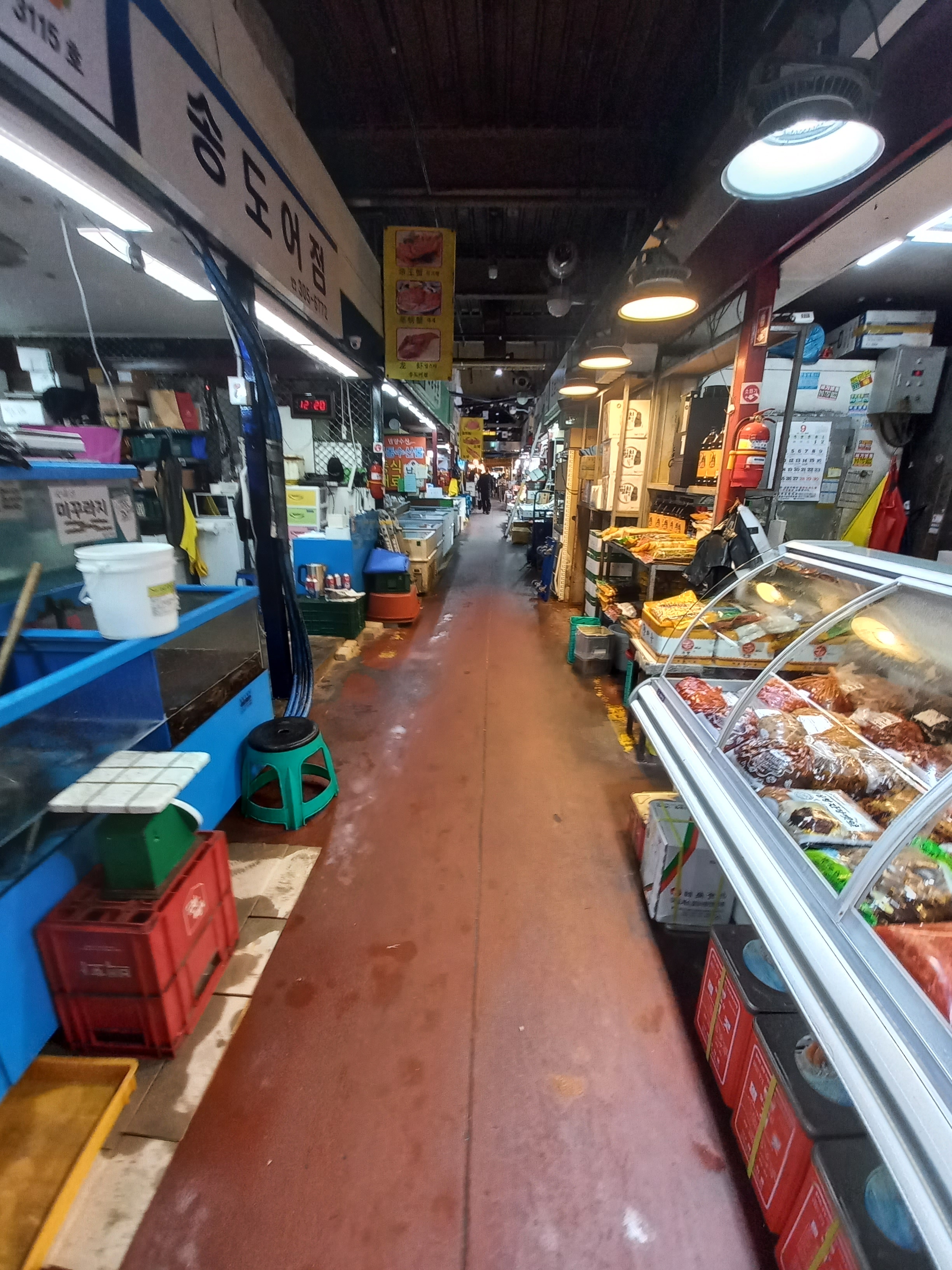 마포 수산물 시장 온누리상품권 40% 환급