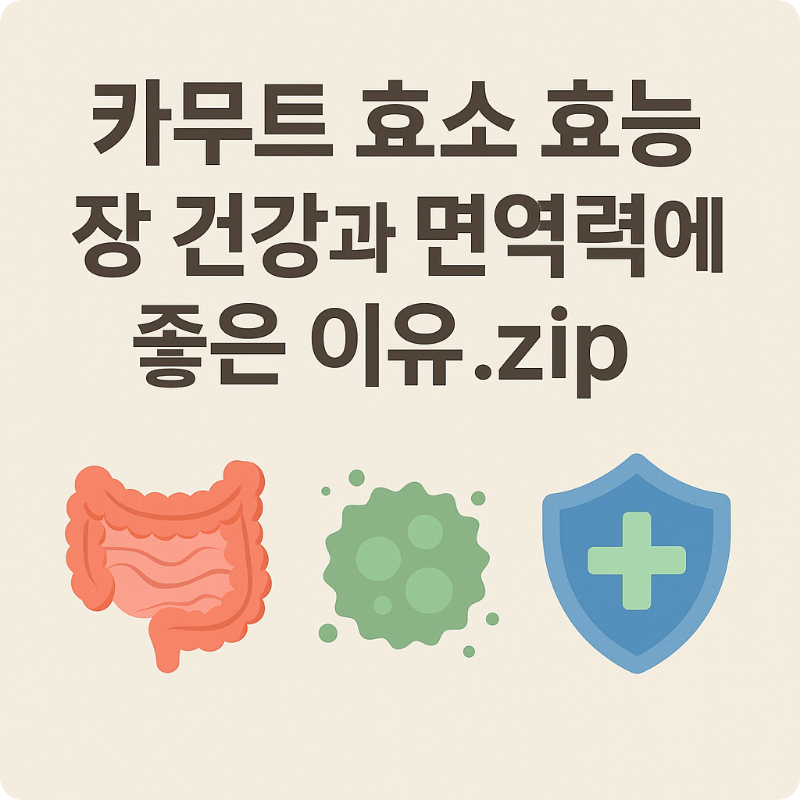 카무트 효소가 장 건강과 면역력에 어떤 도움을 주는지를 설명하는 건강 정보형 블로그 썸네일 이미지