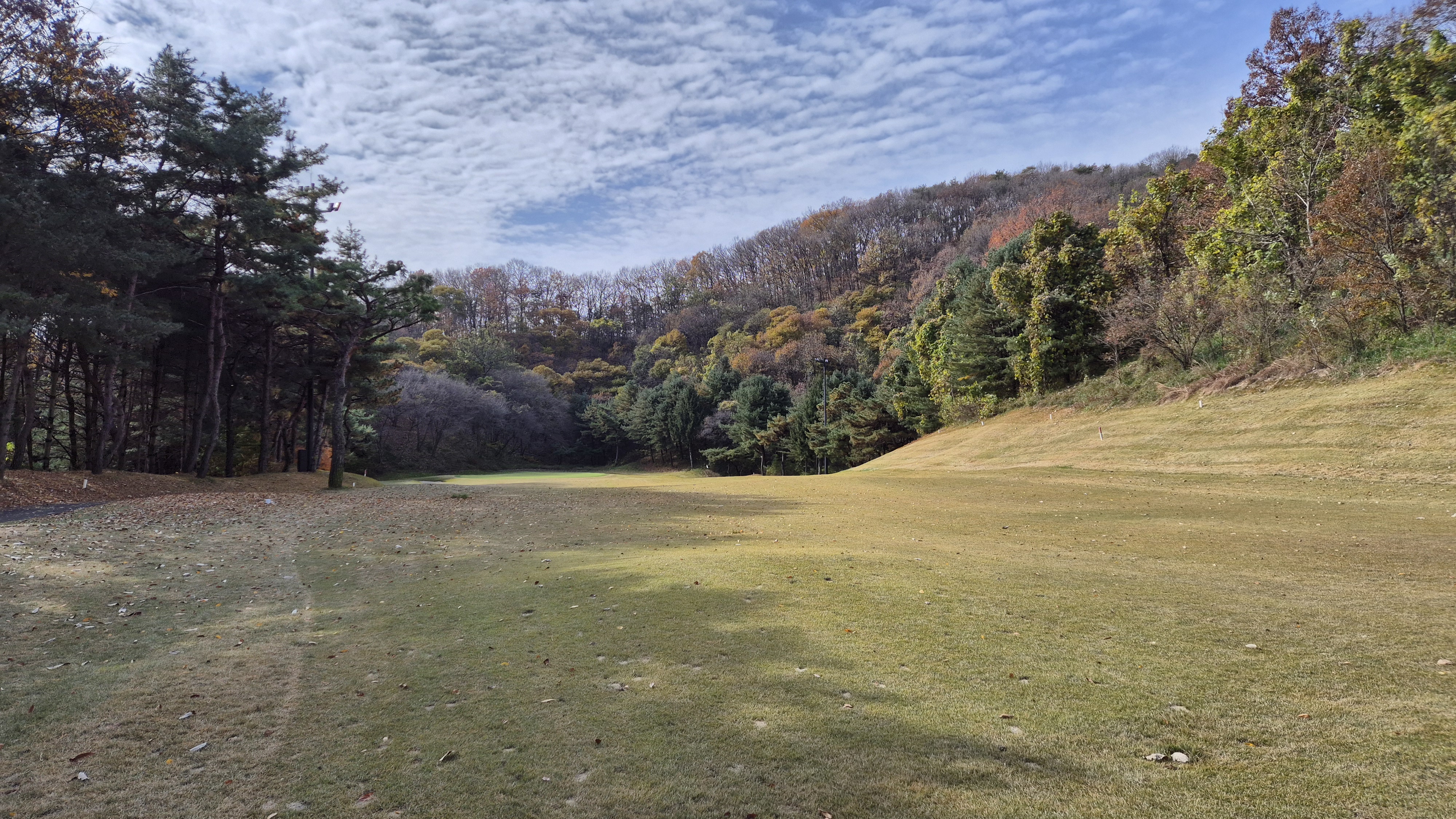 세종에머슨cc 마운틴코스 사진 및 공략 정보