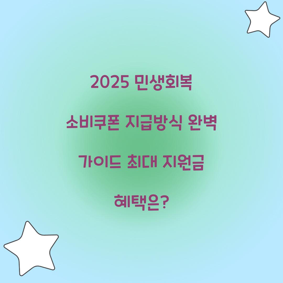 2025 민생회복 소비쿠폰 지급방식