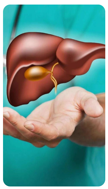 간기능 검사