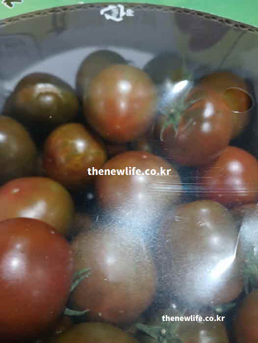 흑토마토 효능 소화 촉진 펙틴 성분