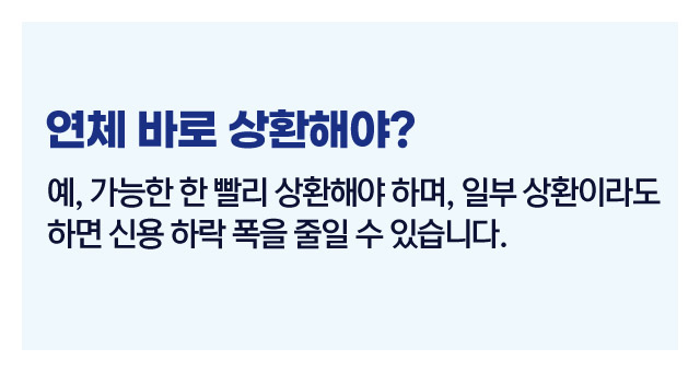 대출연체대처전략-이미지3