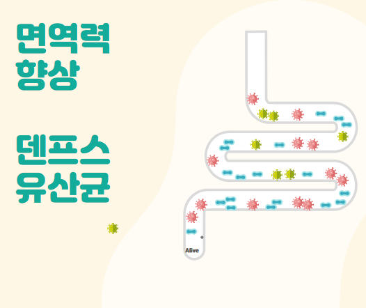 유산균