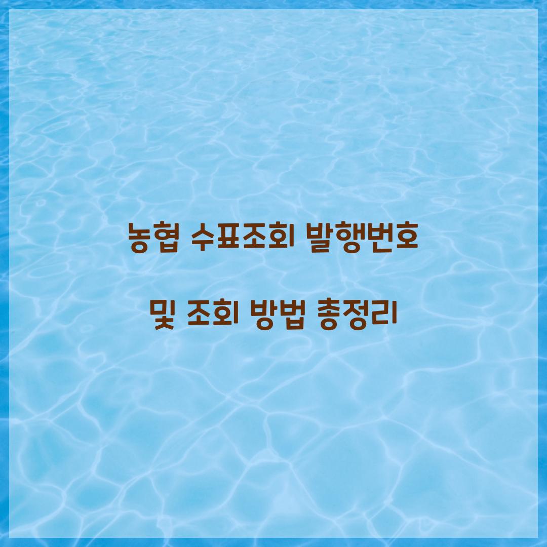 농협 수표조회 발행번호