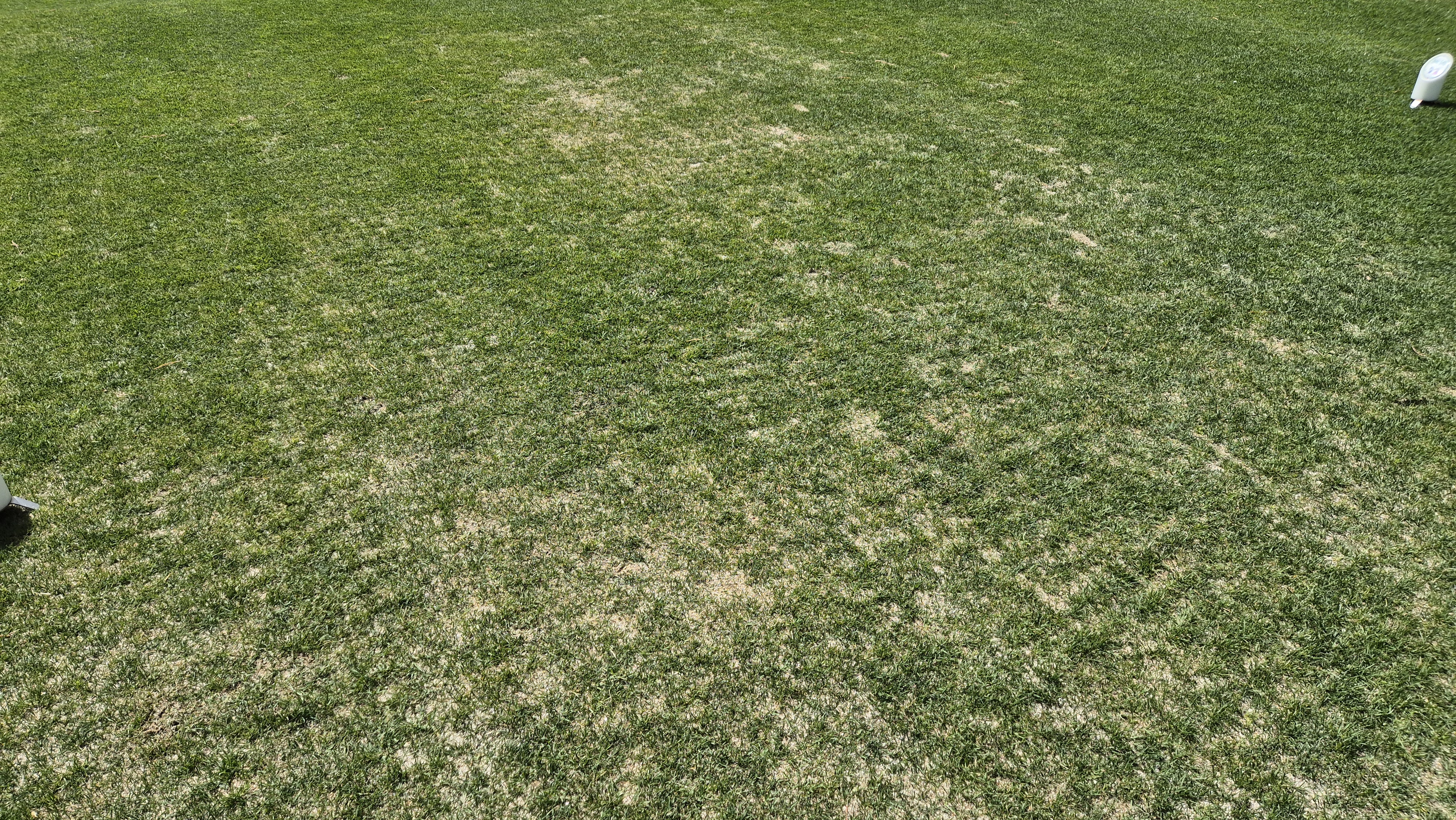 한원cc 라운드후기