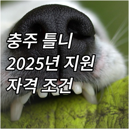 충주시 2025 청장년 틀니 지원 사..