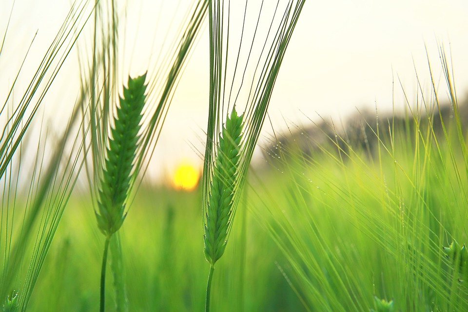 제주도 렌트카 비교사이트