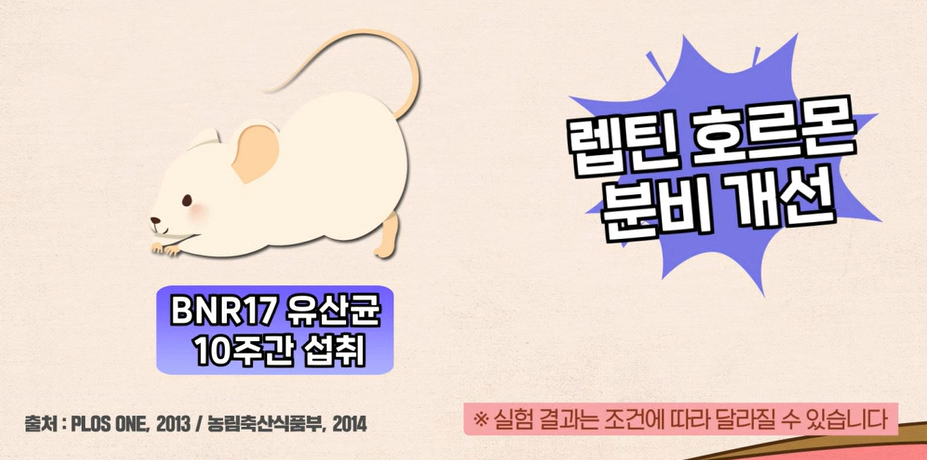 bnr17유산균 효능