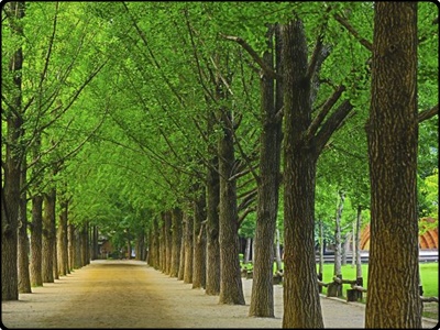 춘천 가볼만한곳 추천