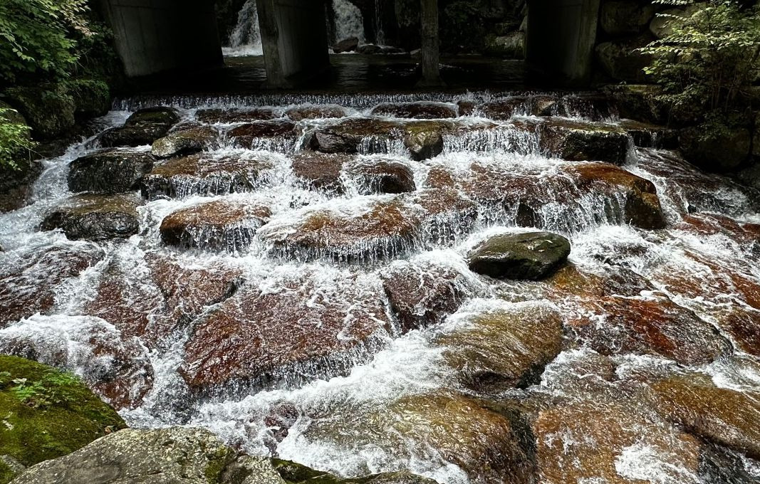 금원산자연휴양림