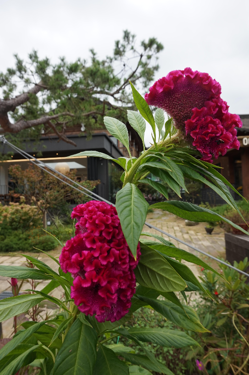 퍼스널 브랜딩의 정의