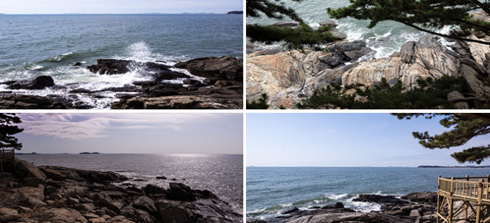 청산도 배 시간표, 여객선 운항 노선, 청산도표 예약