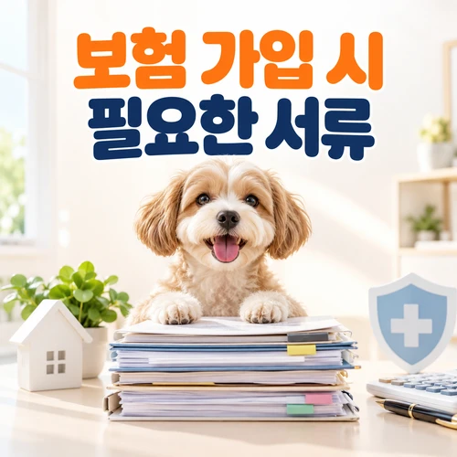 보험 가입 시 필요한 서류