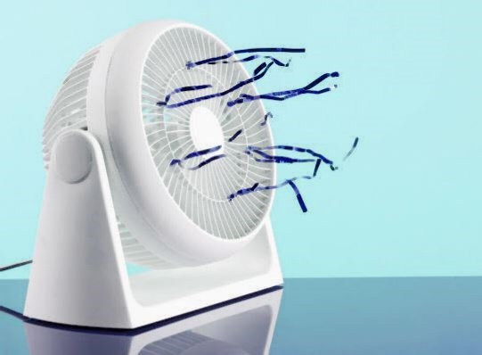 써큘레이터 선풍기 차이