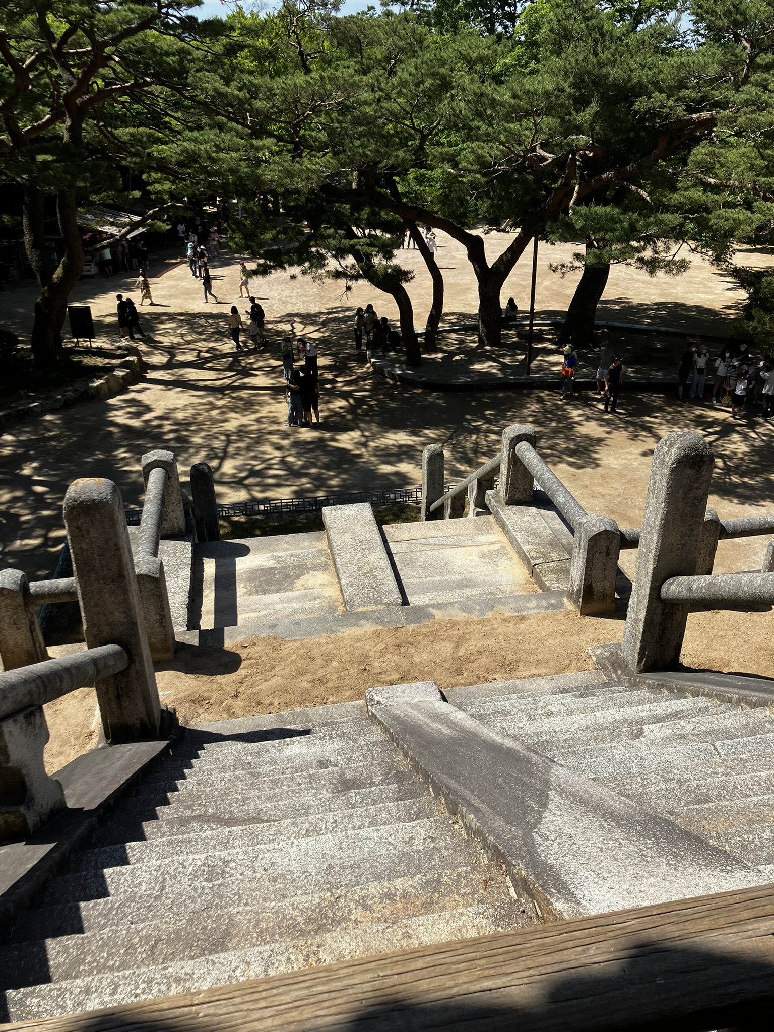 경주가볼만한곳 불국사