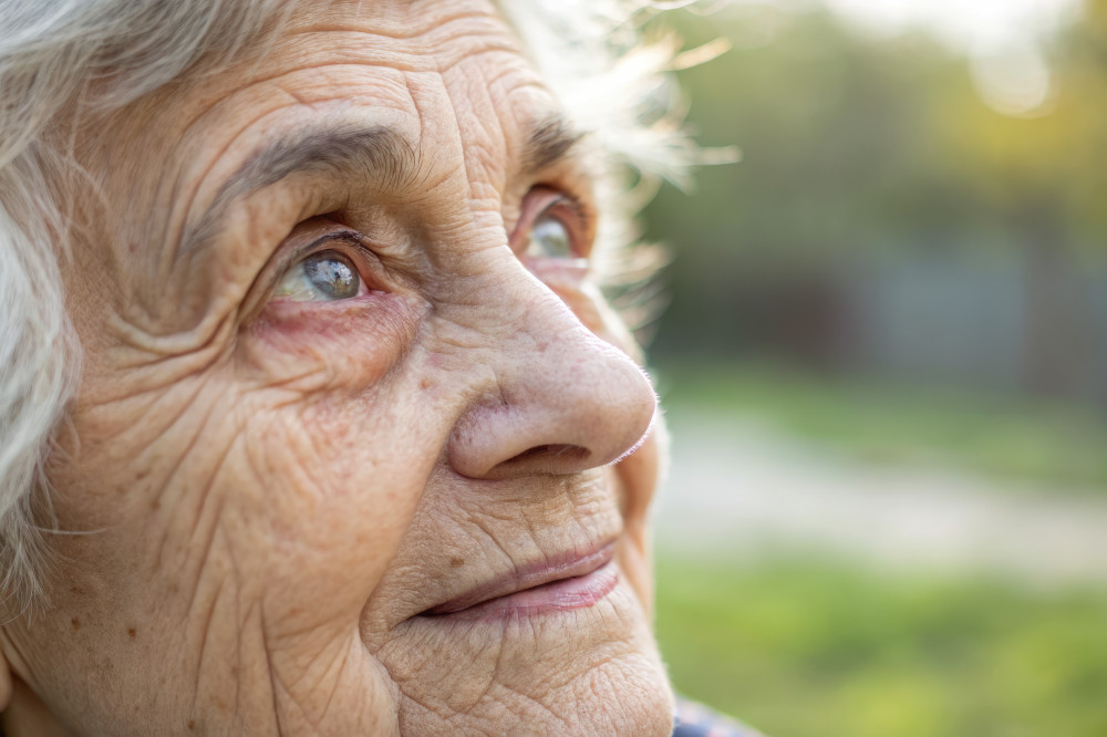 백내장 수술비용