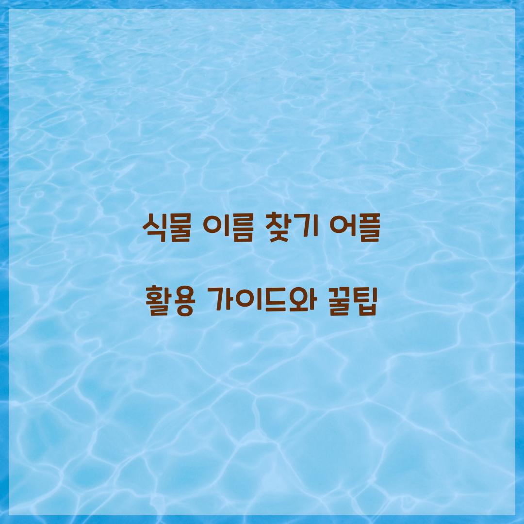 식물 이름 찾기 어플