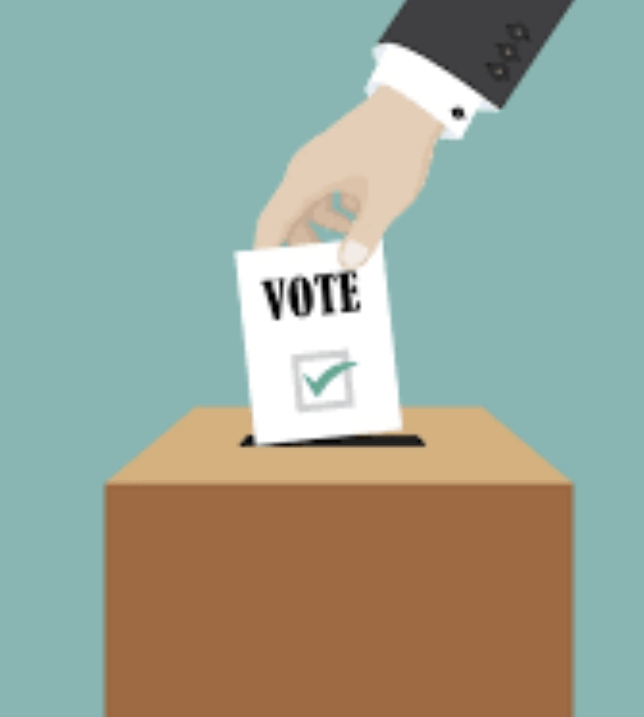 실시간 투표율 역대 최고! 2025 사전투표