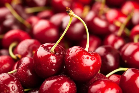 관절에 좋은 음식 TOP 10 강력 추천!12