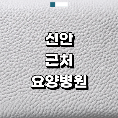 신안군 요양병원