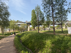 반포 한강공원 달빛무지개분수, 아이와 함께 가도 괜찮을까?