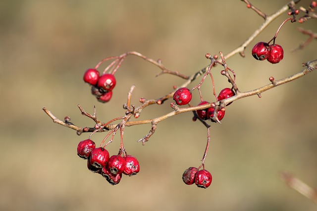 김수미 나이 프로필 정리 ✅