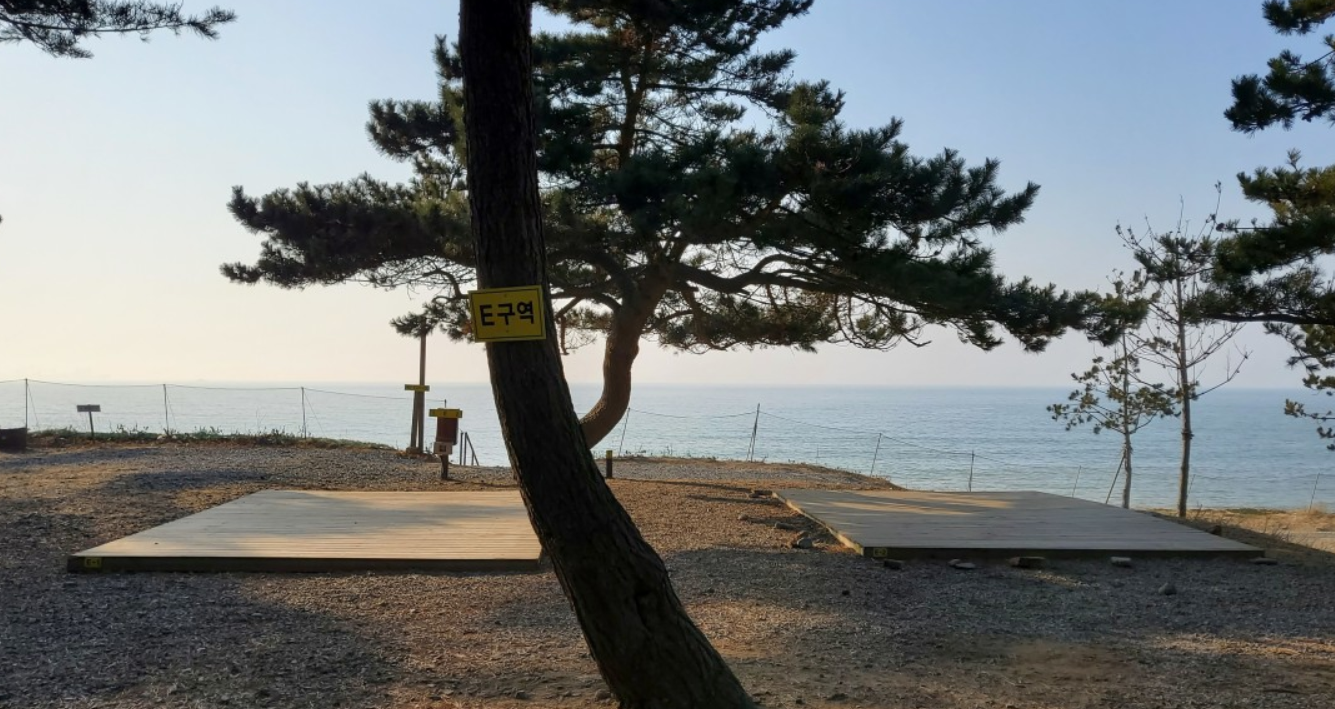 태안사목공원캠핑장 간격