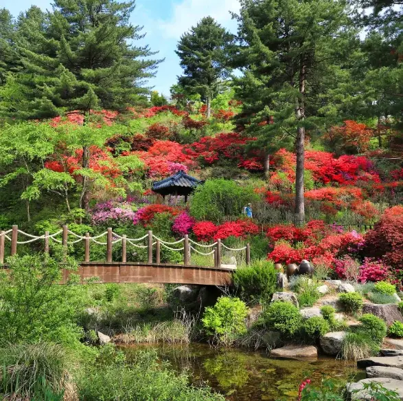 아침고요수목원-입장료-운영시간-관람안내