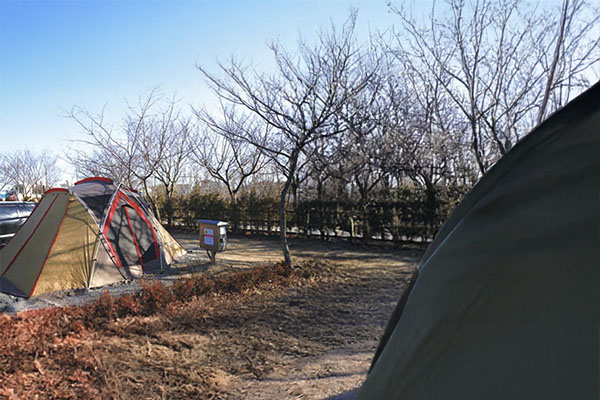 태안 학암포 야영장 캠핑 후기