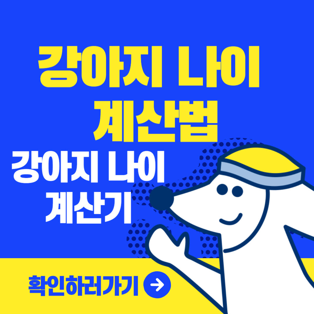 강아지 나이 계산 썸네일