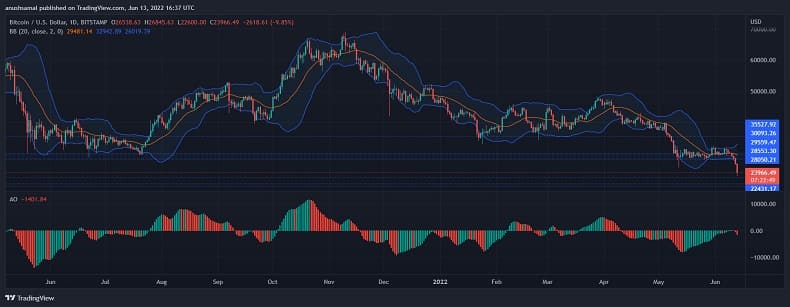 비트코인 하락장에 끊이지 않는 공포의 또 달콤한 말말말