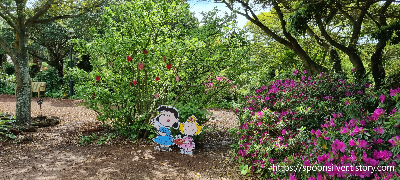 제주스누피가든