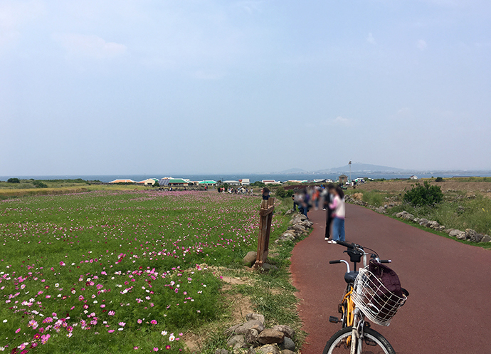 가파도-풍경-자전거-타고-즐기기