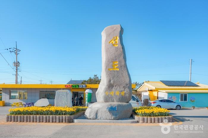 2024 섬 수선화 축제 기본 일정과 소개