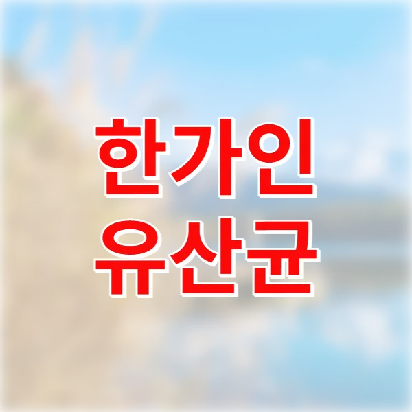 한가인 유산균