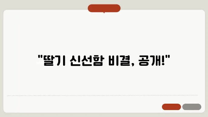 딹기 보관방법 신선함을 오래 유지하는 꿀팁