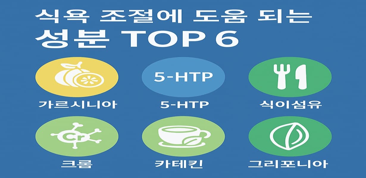 ALT 텍스트: “식욕 조절에 효과적인 주요 성분 6가지를 정리한 인포그래픽 이미지”