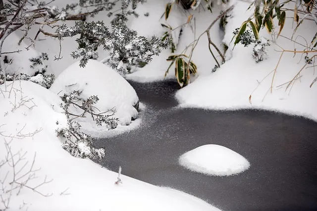 실시간 제주도 제주날씨 주간예보로_8