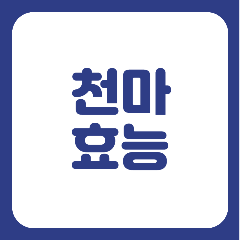 천마 효능