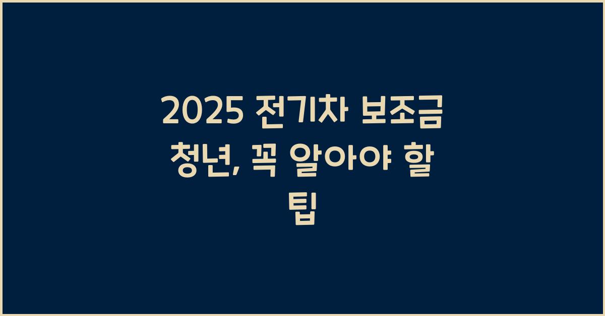 2025 전기차 보조금 청년
