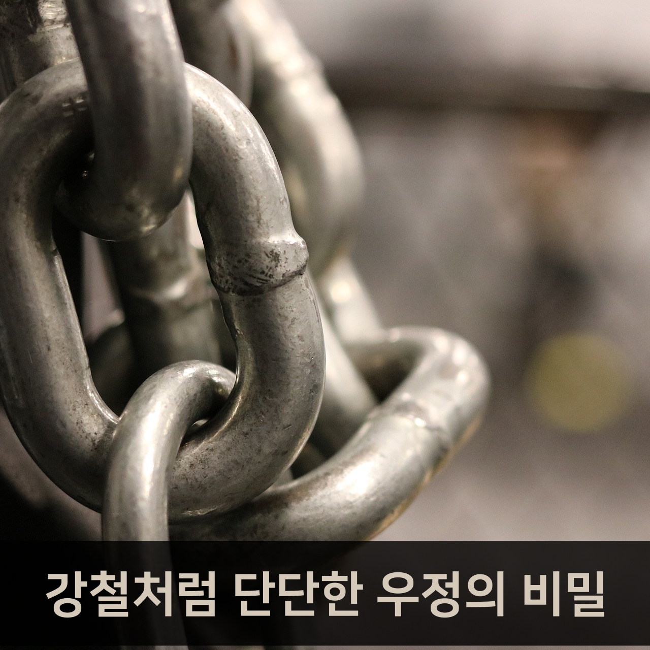 金蘭之交 이야기: 향기로운 우정의 상징과 활용 예시